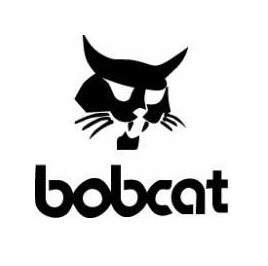 Bobcat